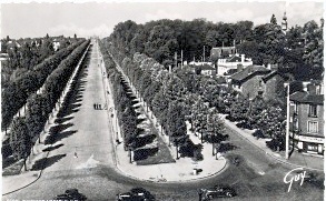 1 FI 199 Allée dHonneur 3