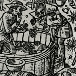 vendanges 150x150